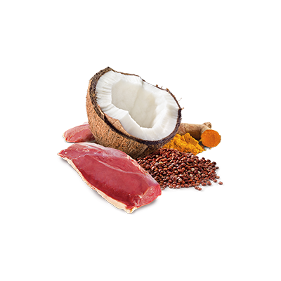 Farmina N&D Cat Quinoa Skin & Coat Duck & Coconut 80g Mokra Karma Dla Kota Kaczka Z Kokosem Na Skórę I Sierść
