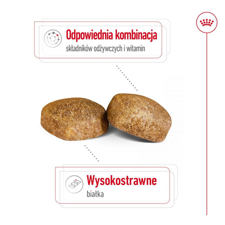 Royal Canin Giant Adult 15kg Karma Sucha Dla Psów Dorosłych Od 18/24 Miesiąca Życia Ras Olbrzymich