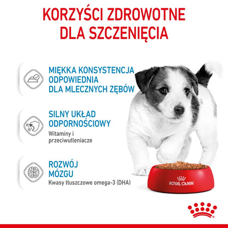 Royal Canin Puppy Jack Russell Terrier Sucha Karma Dla Szczeniąt 3kg + Mokra W Sosie 12x85g