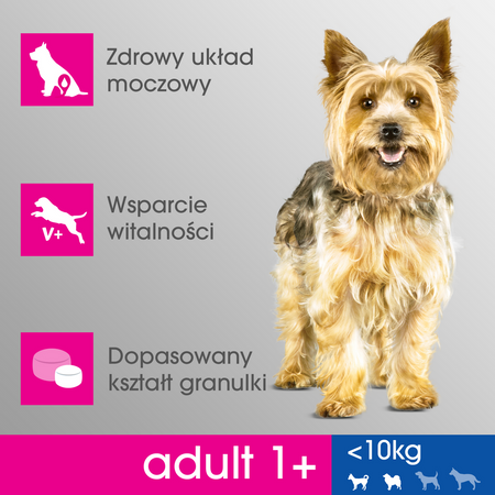 Perfect Fit (adult 1+) 5x825g Bogaty W Kurczaka Sucha Karma Dla Dorosłych Psów Małych Ras