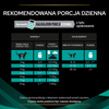 Purina Pro Plan Veterinary Diets Feline EN Gastrointestinal Sucha Karma Dla Kota 400g Zaburzenia Żołądkowo-Jelitowe