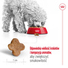 Royal Canin Mini Adult 8+ 8kg Karma Sucha Dla Psów Starszych Od 8 Do 12 Roku Życia Ras Małych