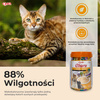 Inaba Cat Churu 40x14g (560g) Kremowy Przysmak Dla Kota Pasta Mix Z Kurczakiem Słoik