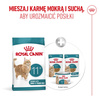 Royal Canin Ageing 11+ Karma Sucha 2kg Dla Kotów Dojrzałych Po 11 Roku Życia