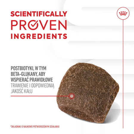 Royal Canin Supplements Dog Digestion Adult 160g Suplementy Dla Psów Dorosłych W Postaci Przysmaków Wspierające Prawidłowe Trawienie