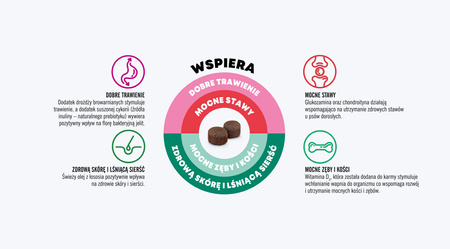 John Dog Good Form Adult Mini Sucha Karma Dla Psa Wieprzowina Z Wołowiną 12kg + Mokra 6x400g