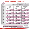 Royal Canin Veterinary Renal 4kg Sucha Karma Dla Dorosłych Kotów Z Niewydolnością Nerek Zapobiega Powstawaniu Kamieni