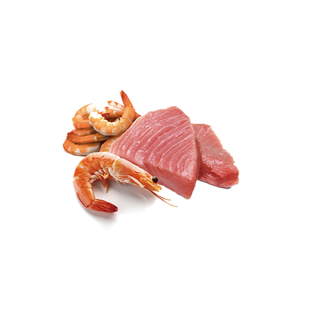 Farmina N&D Cat Ocean Tuna & Shrimp 24x70g Mokra Karma Dla Kota Tuńczyk Krewetki