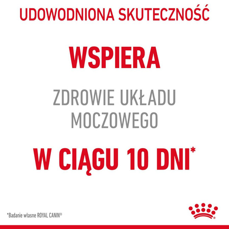 Royal Canin FCN Urinary Care w Sosie 85g Karma Mokra Dla Kotów Ochrona Dolnych Dróg Moczowych