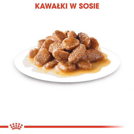 Royal Canin Adult Shih Tzu Sucha Karma Dla Psów 7,5kg + W Sosie Dla Małych Ras 12x85g