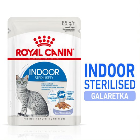 Royal Canin FHN Indoor Sterilised w Galaretce 48x85g Karma Mokra Dla Kotów Dorosłych Sterylizowanych Przebywających W Domu