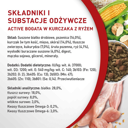 Purina One Mini Active 2x800g Sucha Karma Dla Psów Małych Ras Z Kurczakiem I Ryżem