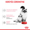 Royal Canin Mother&Babycat Instinctive Mousse 195g Karma Mokra Mus Dla Kotek W Okresie Ciąży Laktacji i Kociąt