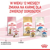 Royal Canin FHN Kitten Sterilised W Sosie 12x85g Karma Mokra Dla Kociąt Sterylizowanych Do 12 Miesiąca Życia