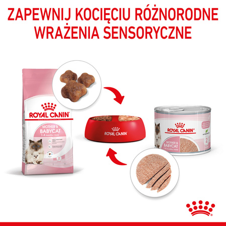 Royal Canin Mother&Babycat Instinctive Mousse 6x195g Karma Mokra Mus Dla Kotek W Okresie Ciąży Laktacji i Kociąt