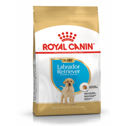 Royal Canin BHN Labrador Retriever Puppy 3kg Karma Sucha Dla Szczeniąt Do 15 Miesiąca Rasy Labrador Retriever