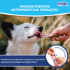 Inaba Dog Churu 20x14g Przysmak Pasta Dla Psa Mix 5 Smaków