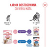 Royal Canin FHN Kitten Sterilised W Sosie 24x85g Karma Mokra Dla Kociąt Sterylizowanych Do 12 Miesiąca Życia