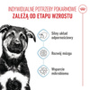 Royal Canin Maxi Puppy 4kg Karma Sucha Dla Szczeniąt Od 2 Do 15 Miesiąca Życia Ras Dużych