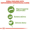 Royal Canin Outdoor 400g Sucha Karma Dla Kotów Dorosłych Wychodzących Na Zewnątrz