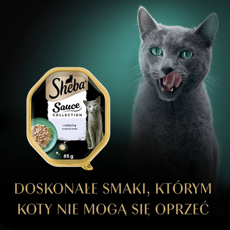 Sheba Sauce Collection Tacka 12x85g Mokra Karma Pełnoporcjowa Dla Kota Kawałki Z Cielęciną W Sosie