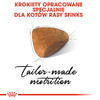 Royal Canin FBN Sphynx Adult 10kg Karma Sucha Dla Kotów Dorosłych Rasy Sfinks