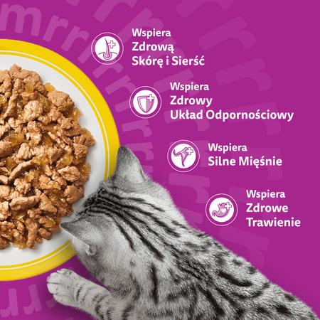 Whiskas Adult 160x85g Mokra Karma Dla Dorosłego Kota Drobiowa Uczta w Galaretce Aromatyczna Mieszanka w Sosie