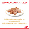 Royal Canin BHN Adult Shih Tzu 85g Mokra Karma Pasztet Dla Psów Rasy Shih Tzu