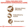 Mokra Karma Dla Kotów Starszych Royal Canin FHN Ageing +12 W Sosie 36x85g