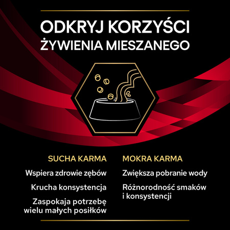 Purina Pro Plan Veterinary Diets Feline DM Diabetes Management Sucha Karma Dla Kota 5kg Redukcja Glukozy