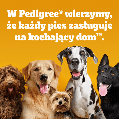 Pedigree Tasty Minis Chewy Cubes Z Kurczakiem 130g Przysmak dla psa