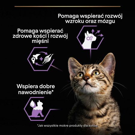 Purina Pro Plan Kitten Healthy Start 6x85g Mokra Karma Dla Kociąt Mus z Kurczakiem