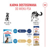 Royal Canin Maxi Puppy 4kg Karma Sucha Dla Szczeniąt Od 2 Do 15 Miesiąca Życia Ras Dużych