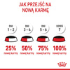 Royal Canin FHN Kitten Sterilised W Sosie 12x85g Karma Mokra Dla Kociąt Sterylizowanych Do 12 Miesiąca Życia