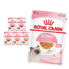 Royal Canin FHN Kitten Instinctive 6x85g Karma Mokra W Sosie i Galaretce Dla Kociąt Do 12 Miesiąca Życia