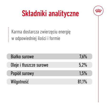 Royal Canin SHN Mini Adult 36x85g Karma Mokra W Sosie Dla Psów Dorosłych Ras Małych