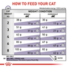 Royal Canin Veterinary Neutered Satiety Balance 3x400g Sucha Karma Dla Dorosłych Kotów Po Sterylizacji