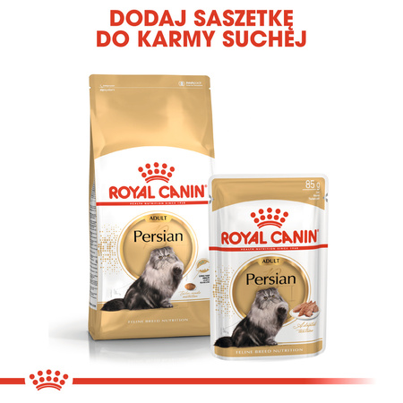 Royal Canin FBN Persian Adult 2kg Karma Sucha Dla Kotów Dorosłych Rasy Pers