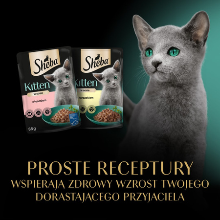 Sheba Kitten 4x85g Mokra Karma Pełnoporcjowa Dla Kociąt w Sosie Kawałki z Łososiem i Kurczakiem