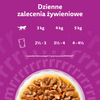 Whiskas Aromatic Adult 40x85g Mokra Karma Dla Kotów Aromatyczna Mieszanka W Sosie