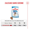 Royal Canin SHN Giant Junior 15kg Karma Sucha Dla Szczeniąt Od 8 Do 18/24 Miesiąca Życia Ras Olbrzymich