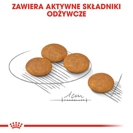Royal Canin CCN Mini Dermacomfort 3kg Karma Sucha Dla Psów Dorosłych Ras Małych O Wrażliwej Skórze Skłonnej Do Podrażnień
