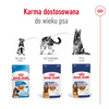 Royal Canin Maxi Adult 10x140g Karma Mokra W Sosie Dla Psów Dorosłych Ras Dużych