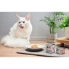 John Dog for Cats Mokra Karma Dla Dorosłych Kotów Łosoś Z Jajkiem 24x70g