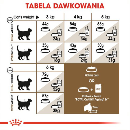 Royal Canin Ageing Sterilised +12 Senior 4kg Karma Sucha Dla Kotów Dojrzałych Sterylizowanych Powyżej 12 Roku Życia