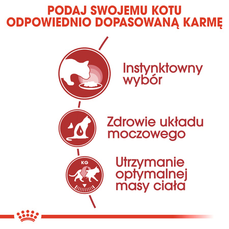 Royal Canin Instinctive FHN 12x85g Karma Mokra W Sosie i Galaretce Dla Kotów Dorosłych Wybrednych