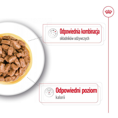 Royal Canin Mini Ageing 12+ 12x85g Karma Mokra Kawałki W Sosie Dla Psów Dojrzałych Po 12 Roku Życia Ras Małych