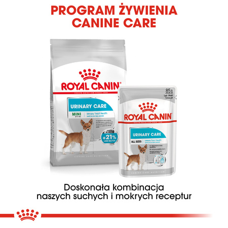 Royal Canin CCN Urinary Care 12x85g Karma Mokra Pasztet Dla Psów Ochrona Dolnych Dróg Moczowych
