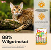 Inaba Cat Churu 20x14g (280g) Kremowy Przysmak Dla Kota Pasta Mix Z Kurczakiem