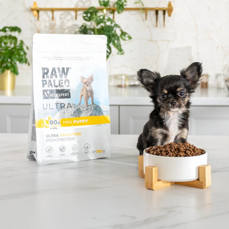 Raw Paleo Ultra Turkey Mini Puppy 2kg Monoproteinowa Sucha Karma Z Indykiem Dla Szczeniąt Małych Ras